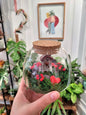 Terrarium - Maison sur la Colline - shop_name artisanat Fait_main Fabriqué_en_france Création_unique